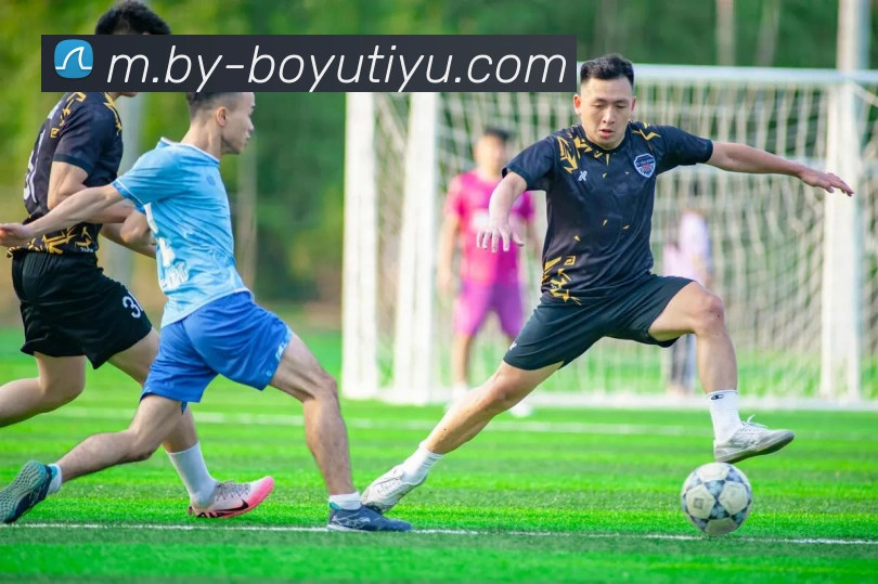 博鱼体育APP 高清赛事图